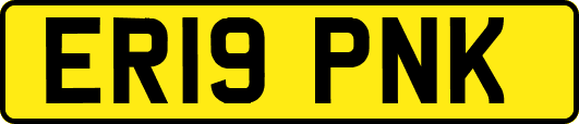 ER19PNK