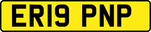 ER19PNP