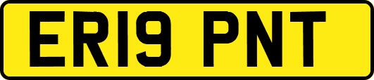 ER19PNT