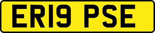 ER19PSE