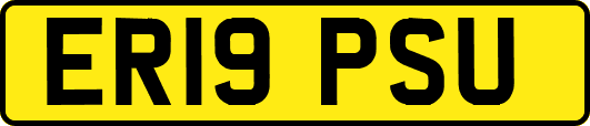 ER19PSU