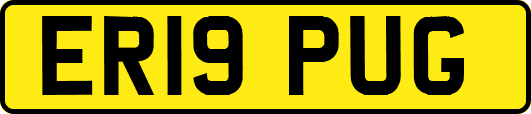 ER19PUG