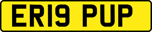 ER19PUP