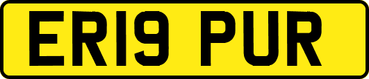 ER19PUR