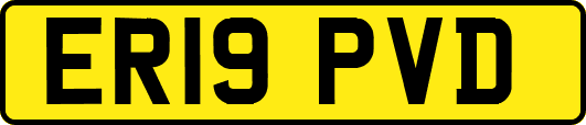 ER19PVD