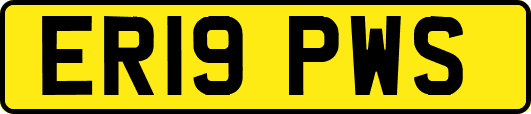 ER19PWS