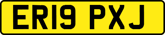 ER19PXJ