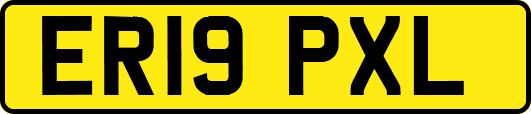 ER19PXL