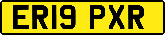 ER19PXR