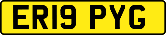 ER19PYG