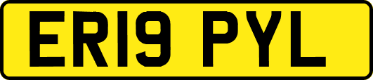 ER19PYL