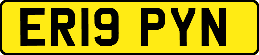 ER19PYN