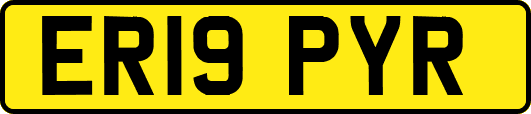 ER19PYR