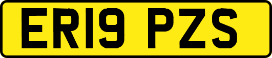 ER19PZS