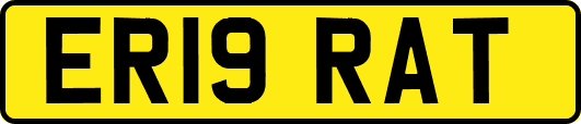 ER19RAT