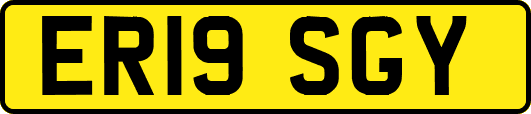 ER19SGY