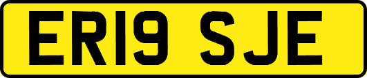 ER19SJE