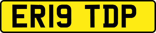 ER19TDP