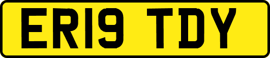 ER19TDY