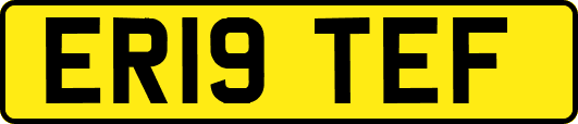 ER19TEF