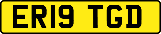 ER19TGD