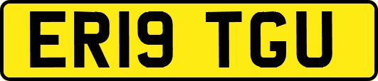 ER19TGU