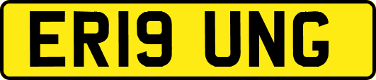 ER19UNG