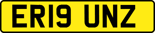 ER19UNZ