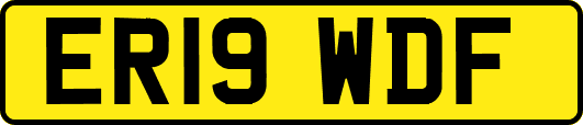 ER19WDF