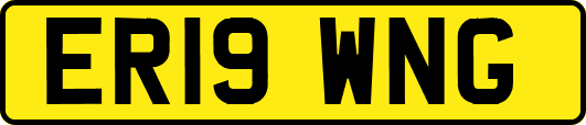 ER19WNG