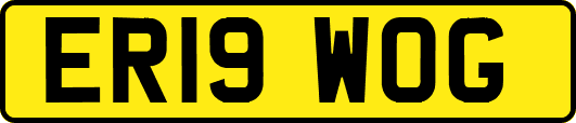 ER19WOG