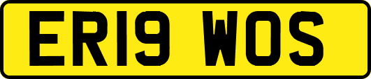 ER19WOS