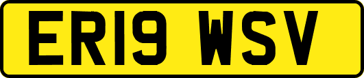 ER19WSV