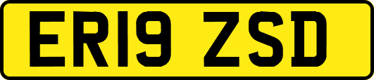 ER19ZSD