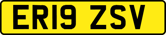 ER19ZSV