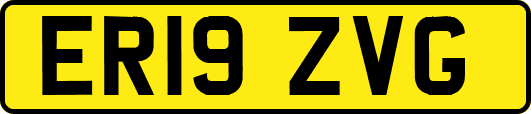 ER19ZVG