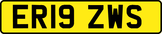 ER19ZWS