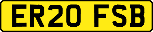 ER20FSB