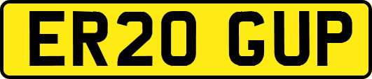 ER20GUP