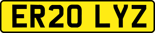 ER20LYZ
