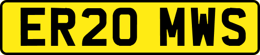 ER20MWS
