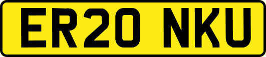 ER20NKU