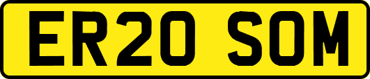 ER20SOM