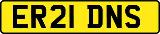 ER21DNS