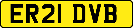 ER21DVB