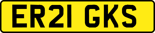 ER21GKS