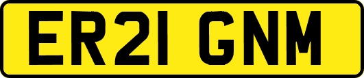 ER21GNM