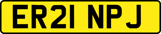 ER21NPJ