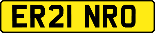ER21NRO