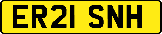 ER21SNH